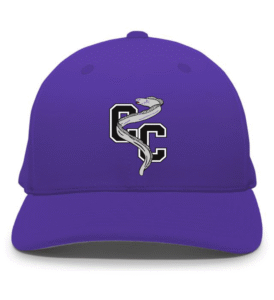 CC-Purple-Hat.png