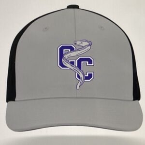 Clay City Fitted Gray/Black Hat