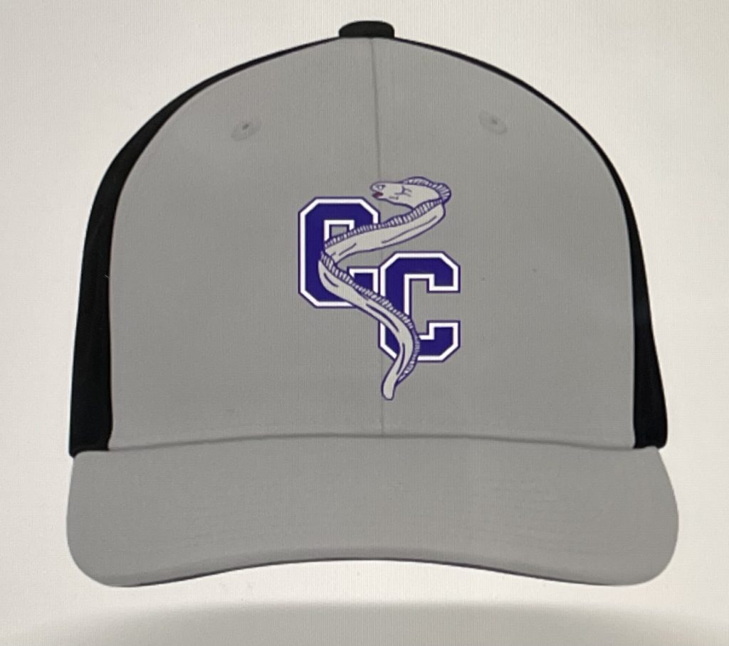 Clay City Fitted Gray/Black Hat