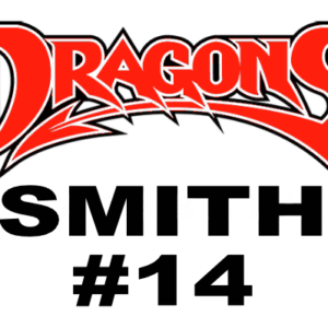 Dragons Custom Car Sticker