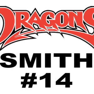 Dragons Custom Car Sticker